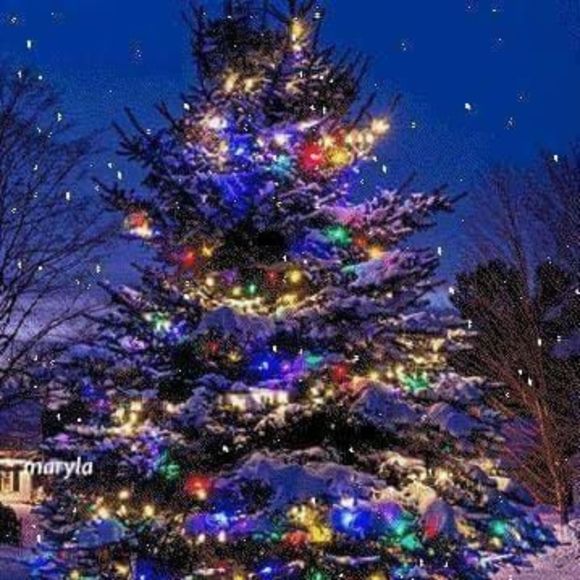 Meet your Posher, Marcia - Picture 1 of 1